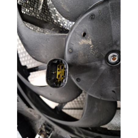 Ventilateur de refroidissement Ds DS 4 II Bluehdi 130 (2021)