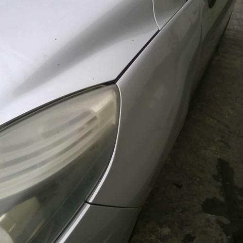 Aile avant gauche Renault SCÉNIC III 1.5 dci (2009) 5 portes
