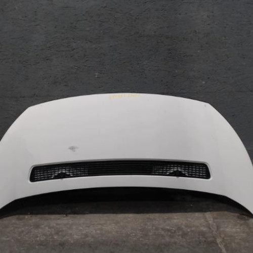 Capot Peugeot EXPERT Camionnette 2.0 hdi 130 (2011)