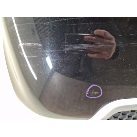 Pare-choc arrière Peugeot 1007 1.6 hdi (2007)