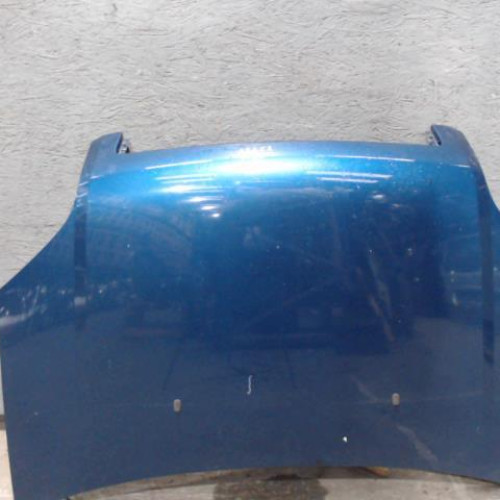 Capot Ford FUSION 1.6 (2002-2009)
