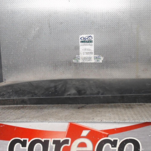 Protection porte avg RENAULT TRAFIC 3  0