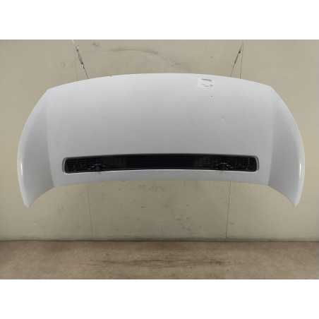 Capot Fiat SCUDO Camionnette 1.6 d multijet (2007-2016)