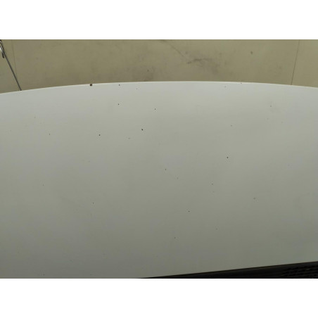 Capot Fiat SCUDO Camionnette 1.6 d multijet (2007-2016)