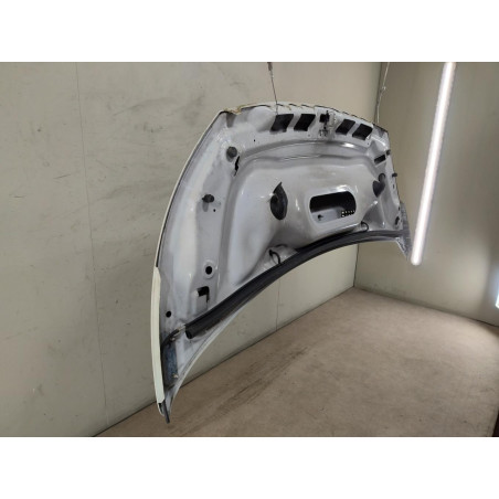 Capot Fiat SCUDO Camionnette 1.6 d multijet (2007-2016)