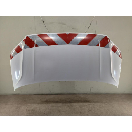 Capot Vw CRAFTER Camionnette 2.0 tdi (2016)