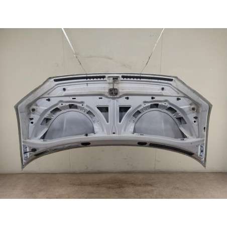 Capot Vw CRAFTER Camionnette 2.0 tdi (2016)