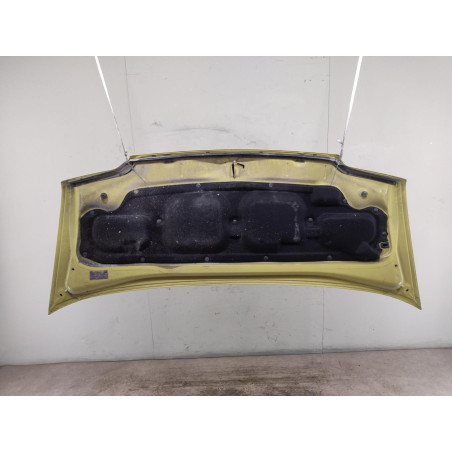 Capot Citroën JUMPER Camionnette 2.0 hdi (2002-2006)
