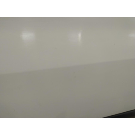 Porte avant droite Renault CLIO III 1.5 dci (2005-2012) 5 portes