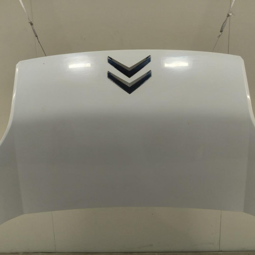 Capot Citroën NEMO Camionnette-Monospace 1.4 hdi (2008) 4 portes