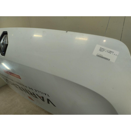 Capot Renault MASTER III Camionnette 2.3 dci 150 fwd (2013)