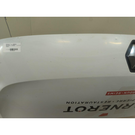 Capot Renault MASTER III Camionnette 2.3 dci 150 fwd (2013)