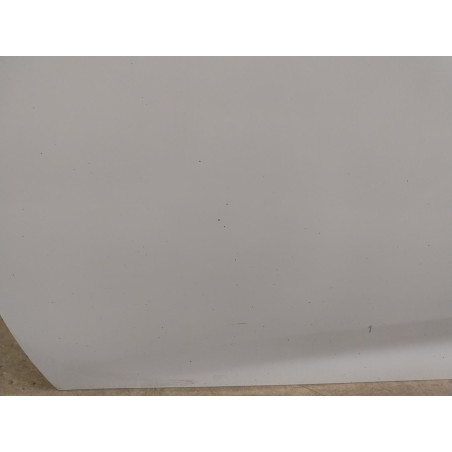 Porte avant gauche RENAULT ZOE 2  ZOE 2