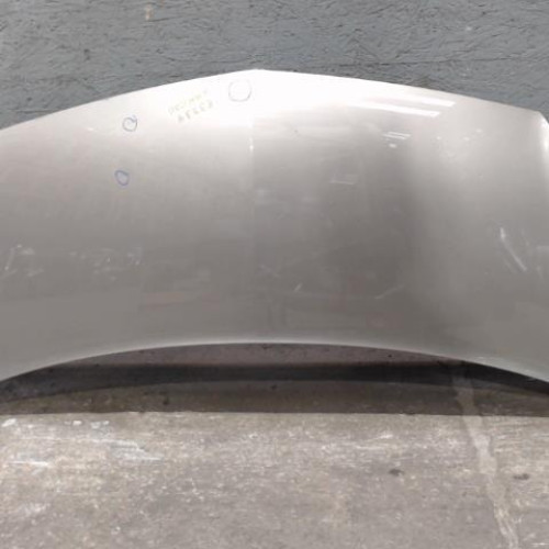 Capot Renault KANGOO Express 1.5 dci 85 (2008)