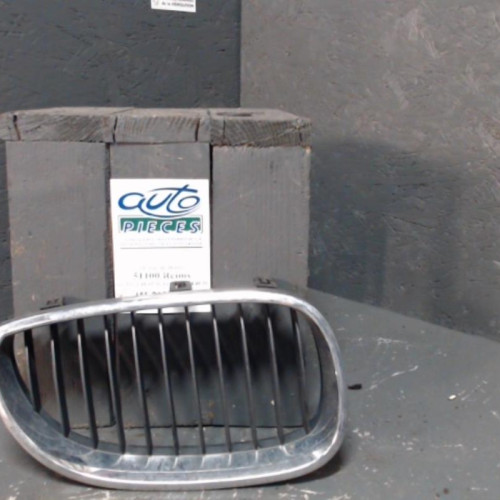 Grille calandre d Bmw 5 Touring 535 d (2004-2010)