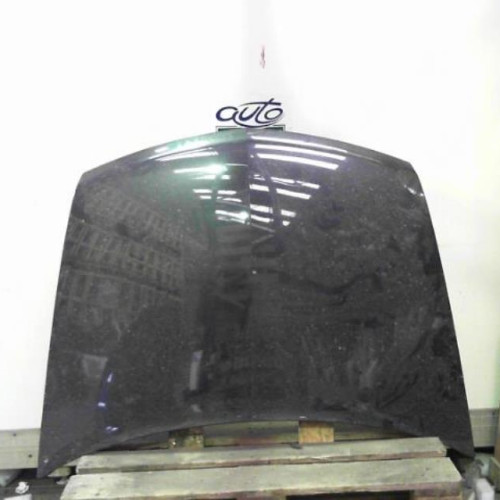 Capot Renault VEL SATIS 2.2 dci (2002-2009) 5 portes