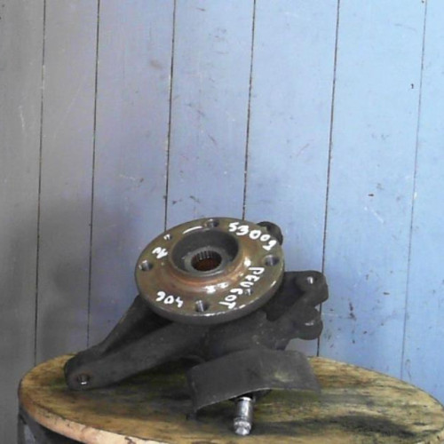 Pivot avd PEUGEOT 406  0