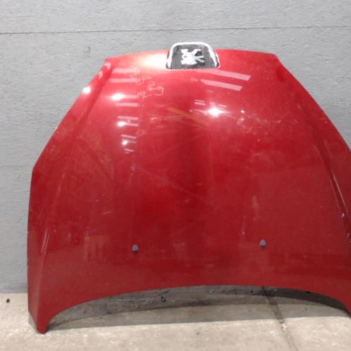 Capot Peugeot 407 Coupé 2.7 hdi (2005)