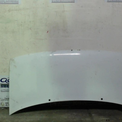 Capot Fiat SCUDO Camionnette 1.9 d (1996-2006)