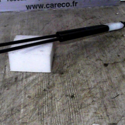 Verin glace hayon Renault SCÉNIC I Monospace 1.9 dci (1999-2003) 5 portes
