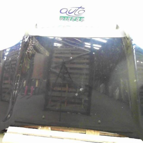 Capot Hyundai SANTA FÉ I 2.0 crdi 4x4 (2003-2006)
