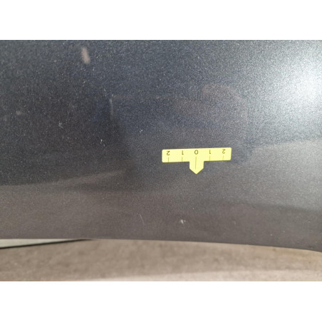 Capot Citroën BERLINGO MULTISPACE 1.6 hdi 110 (2008)