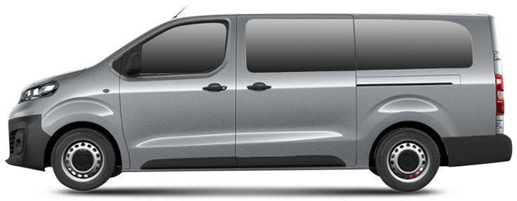 VIVARO C Camionnette (2019)