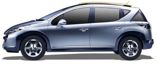 Peugeot 206 SW 2.0 hdi (2002-2007)
